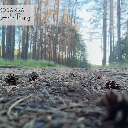 Domek W Puszczy ,,Kocanka" Mezyk Luaran gambar