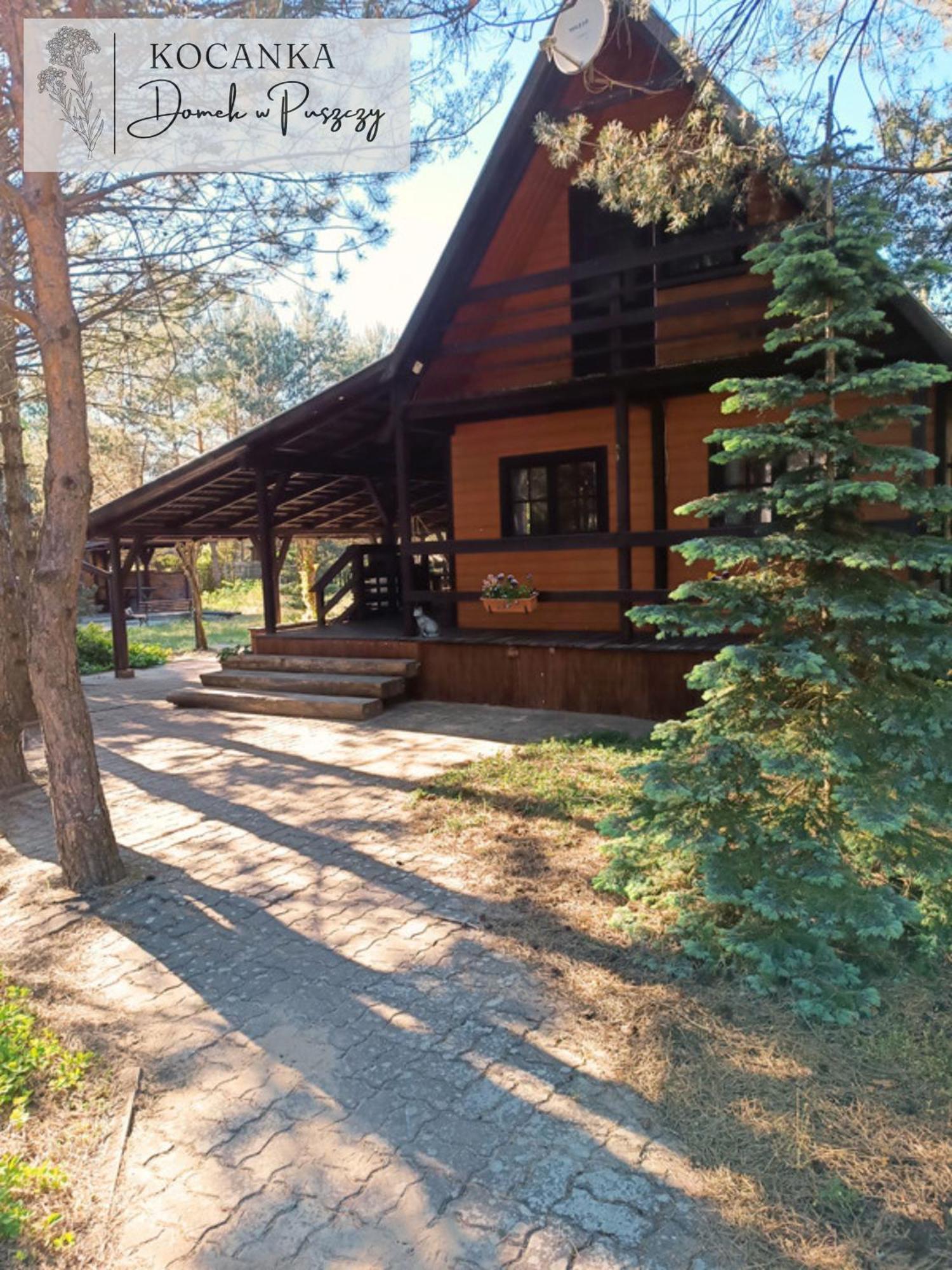 Domek W Puszczy ,,Kocanka" Mezyk Luaran gambar